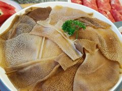 井格明星毛肚-井格重庆火锅(友谊路新业广场店)