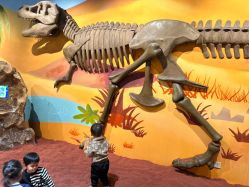 -北京科学中心儿童乐园