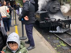 -普芬比利蒸汽火车