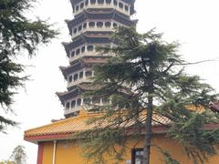 -高旻寺