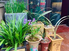 -Rabbit Cafe私房西餐甜点咖啡(栖霞路店)