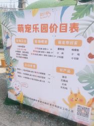 -前小桔亲子创意农场·草莓采摘·露营烧烤