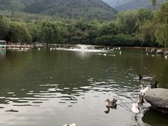 -西安秦岭野生动物园