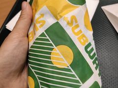 -SUBWAY赛百味(高新绿宝店)