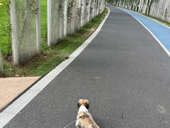 -艾贝尔宠物医院 ·内科全科(梁溪路店)