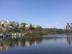 -重庆彩云湖湿地公园