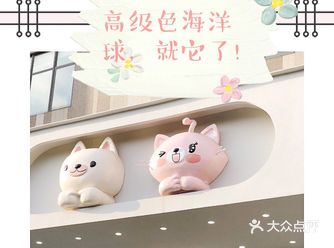 想在海洋球池拍大片,选这里没错