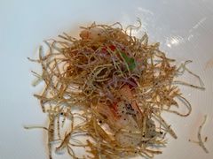 -广舟(千禧店)