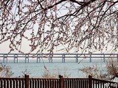 -星海湾跨海大桥