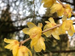 -白塘生态植物园