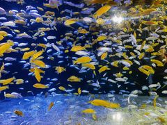 -成都浩海立方海洋公园