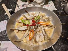 舌尖上的多宝鱼-新兴·金羊座·粤菜点心(乐峰店)