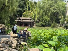 -莲湖公园