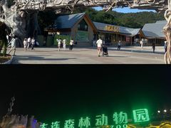 -大连森林动物园