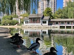 -团结湖公园