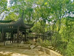 -上海佘山国家森林公园天马山园