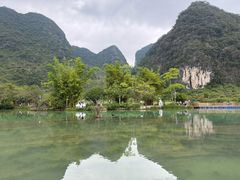 -靖西鹅泉风景区
