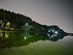 -丁香湖公园