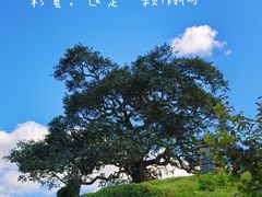 -霍比特人村