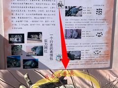 -青藏高原野生动物园