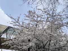 -方快照相馆(宝山龙湖天街店)