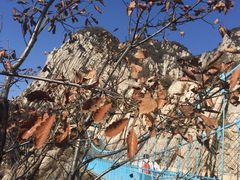 -嵩山少林文化旅游景区