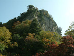 -王顺山国家森林公园