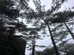 -天柱山风景区