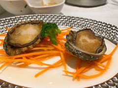 鲍鱼-红鼎豆捞·非遗鲍皇汤火锅(宝丰路店)