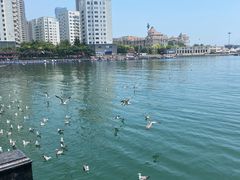 -星海广场