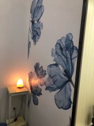 -DEM缔怡美科技美容