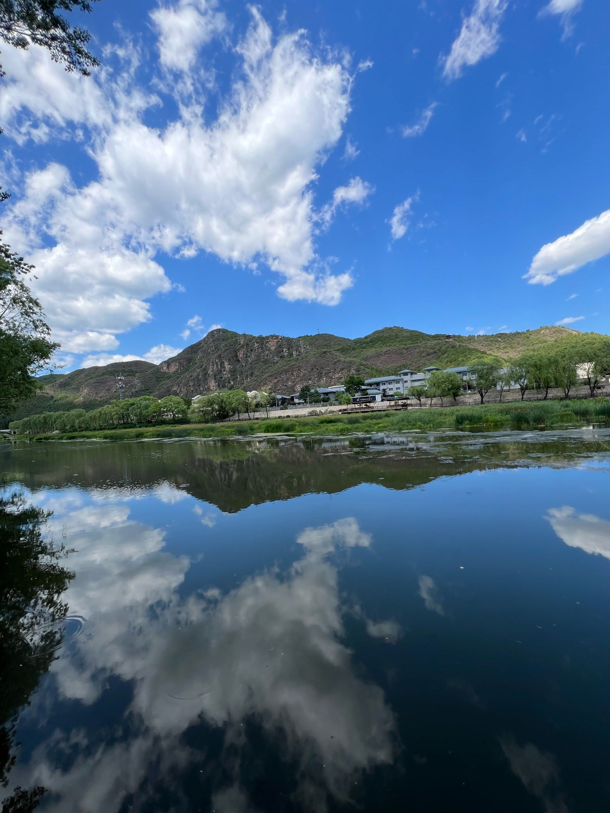 人少 又干净,绿化的美轮美奂#分享治愈系风景