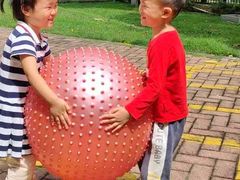 -金点蒙氏国际教育(悠然校区)