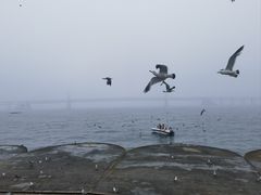 -星海广场