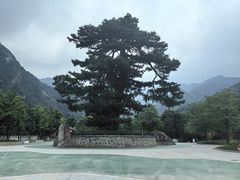 -秦岭终南山世界地质公园翠华山景区