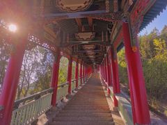 -兰山公园