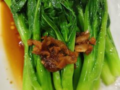 -粤珍轩.创始店.始于2001(含光门店)