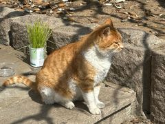 -山东大学(威海校区)