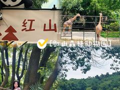 -南京THE TAI太和紫金大酒店