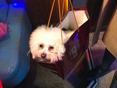 -新吉阳酒店(檀溪路店)