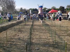 -武汉紫薇都市田园