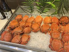 -冀粤香海鲜自助餐厅(西美五洲店)