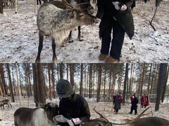 -北极村旅游风景区