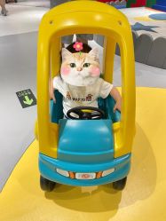 -MELAND(大融城店)