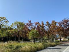 -长田漾湿地公园