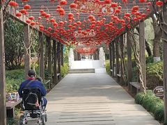 -白马涧龙池景区