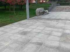 -洨河生态公园