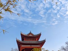 -武汉园博园(武汉自然博物馆)