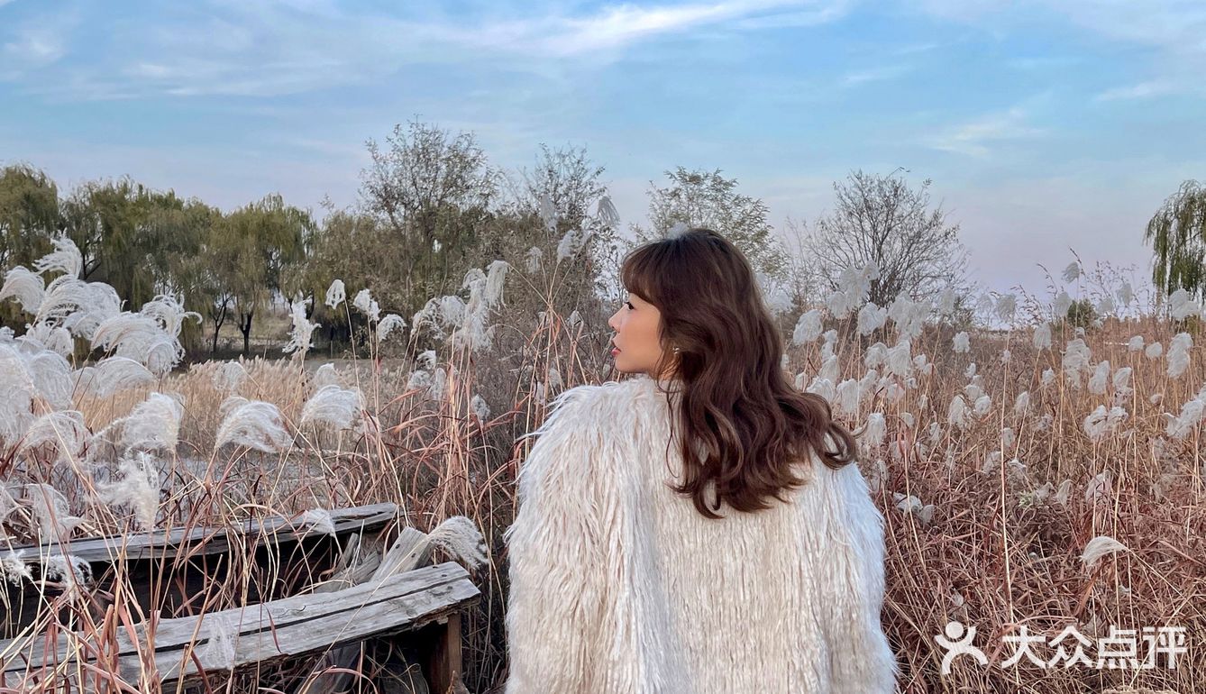 济南免费拍照圣地❗️芦苇荡拍照攻略