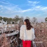 济南免费拍照圣地❗️芦苇荡拍照攻略